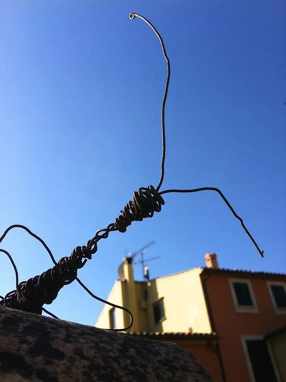 Petit Hotel Alaró