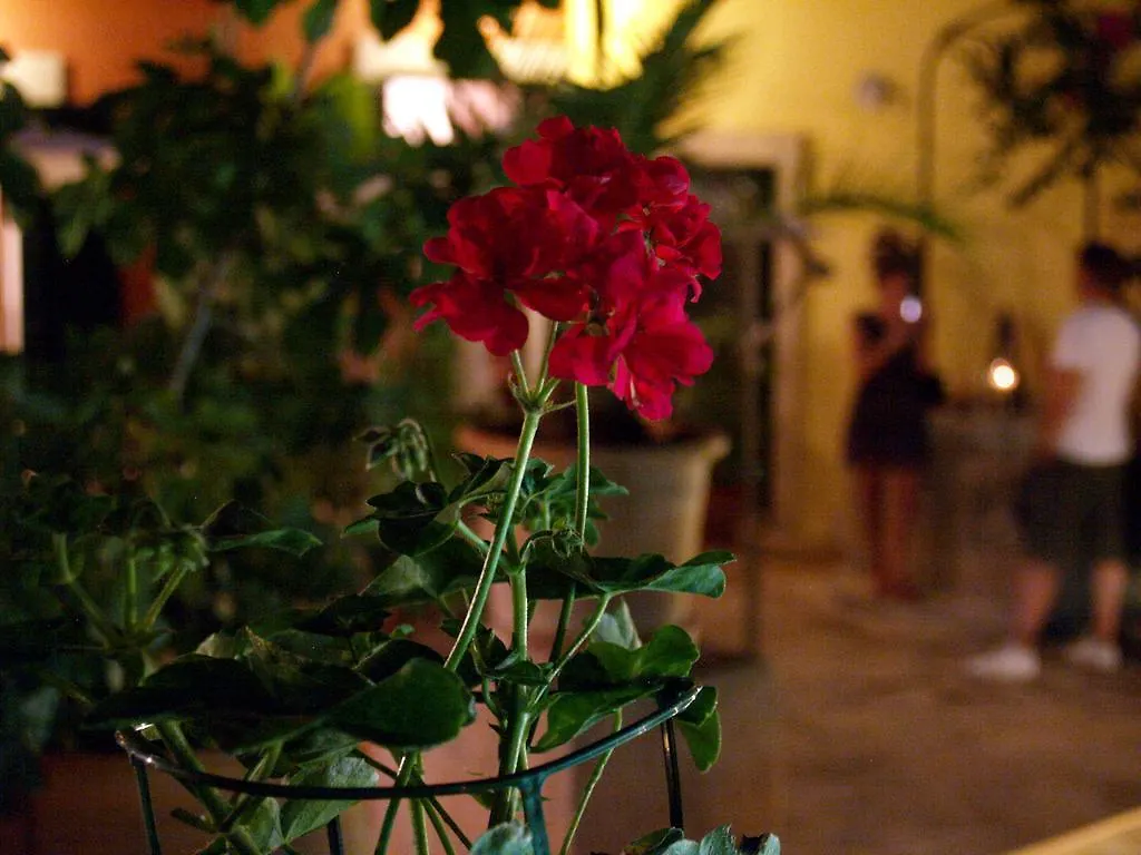 Petit Hotel Alaro